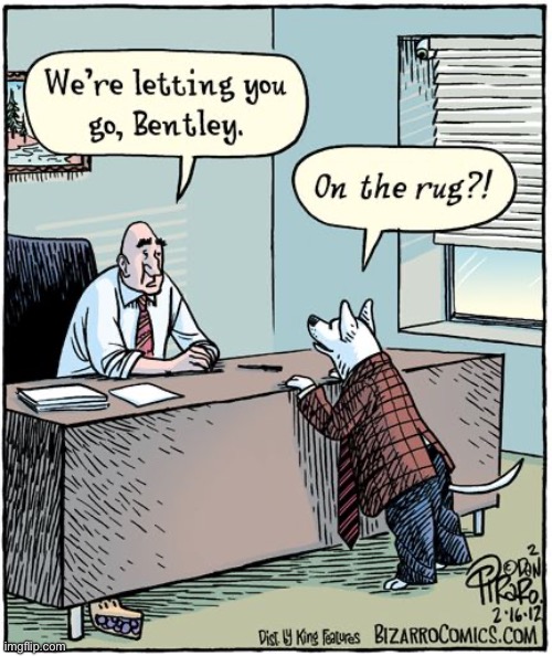Bizarro Comics | image tagged in comics,bizarro comics,office,dog | made w/ Imgflip meme maker