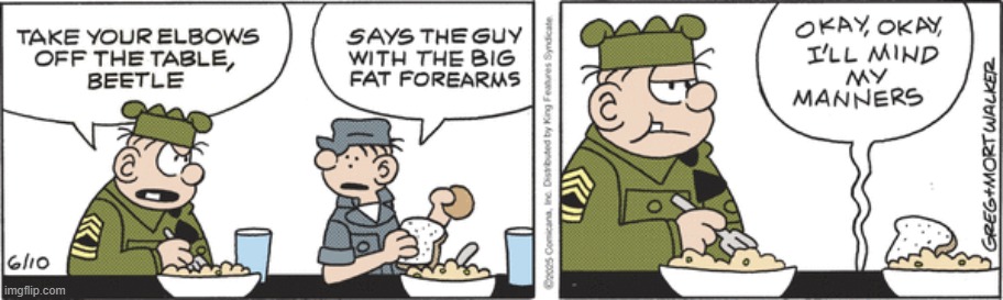 Beetle Bailey | image tagged in comics | made w/ Imgflip meme maker
