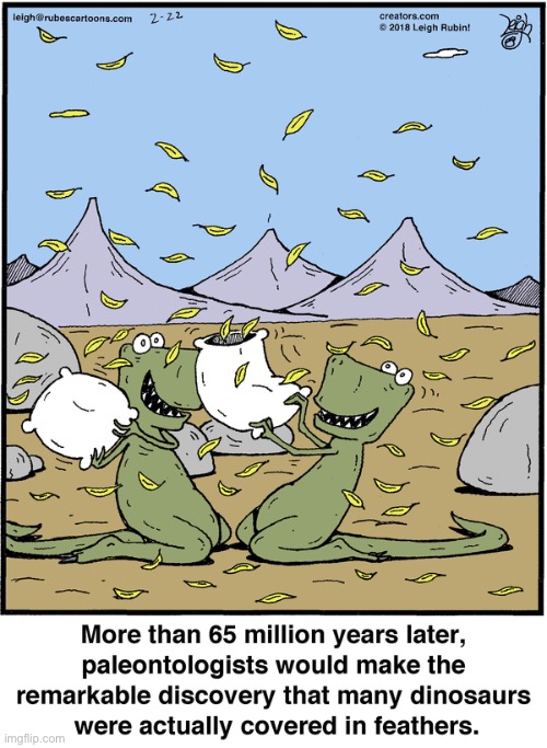 Rubes | image tagged in comics,rubes,dinosaurs,feathers | made w/ Imgflip meme maker