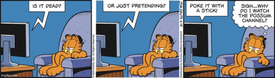 Garfield | image tagged in comics | made w/ Imgflip meme maker