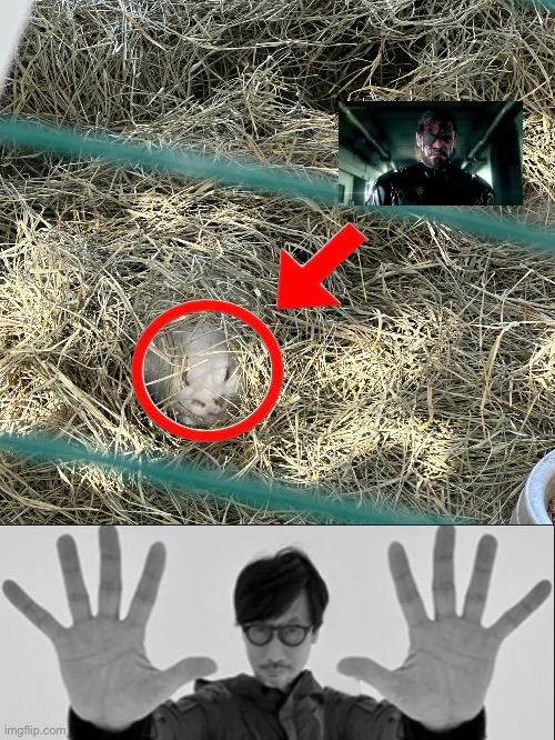 image tagged in peakjima,invisible,gaming,memes,shitpost | made w/ Imgflip meme maker