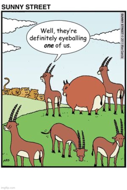 image tagged in comics,sunny street,lions and prey | made w/ Imgflip meme maker