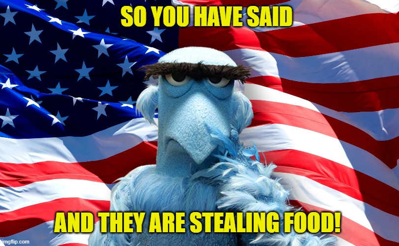 SO YOU HAVE SAID AND THEY ARE STEALING FOOD! | made w/ Imgflip meme maker