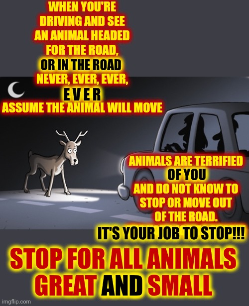 Studies Show That 6 Out Of 100 Drivers TRY To Hit Animals.  Don't Be An A-Hole!!   Be The Guy That Stops And HELPS The Animals!! | WHEN YOU'RE DRIVING AND SEE AN ANIMAL HEADED FOR THE ROAD,
OR IN THE ROAD,
NEVER, EVER, EVER, E V E R,
ASSUME THE ANIMAL WILL MOVE; OR IN THE ROAD; E V E R; ANIMALS ARE TERRIFIED
OF YOU
AND DO NOT KNOW TO STOP OR MOVE OUT OF THE ROAD.
IT'S YOUR JOB TO STOP!!! OF YOU; STOP FOR ALL ANIMALS
GREAT AND SMALL; AND; IT'S YOUR JOB TO STOP!!! | image tagged in deer in the headlights,memes,animals are people too,wake up,animals,good drivers vs bad drivers | made w/ Imgflip meme maker