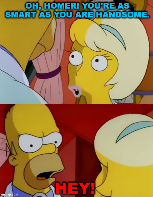 Is this a roast? | OH, HOMER! YOU'RE AS SMART AS YOU ARE HANDSOME. HEY! | image tagged in lattice climbing,the simpsons,climbing memes,latticeclimbing,homer simpsons,dark humor | made w/ Imgflip meme maker