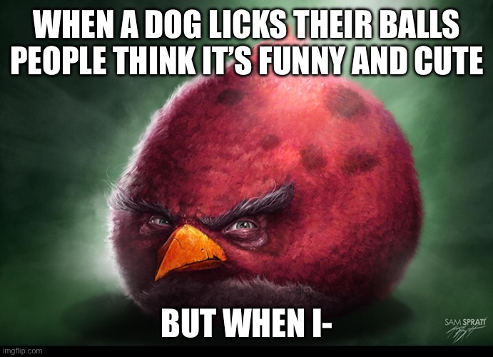 Realistic Terrance | WHEN A DOG LICKS THEIR BALLS PEOPLE THINK IT’S FUNNY AND CUTE; BUT WHEN I- | image tagged in realistic terrance | made w/ Imgflip meme maker
