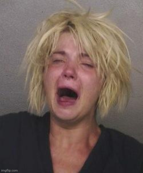 CryingWoman | image tagged in cryingwoman | made w/ Imgflip meme maker