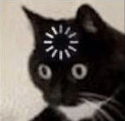 BUFFERING CAT Blank Meme Template