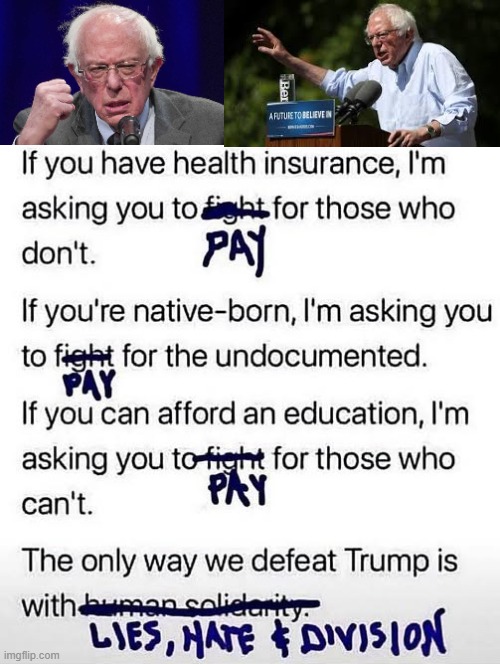 Bernie's Hate. Lies and Division! | image tagged in haters gonna hate,lies,division | made w/ Imgflip meme maker