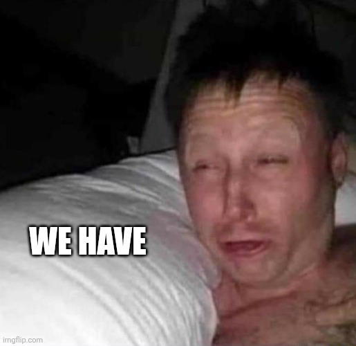 Sleepy guy | WE HAVE | image tagged in sleepy guy | made w/ Imgflip meme maker
