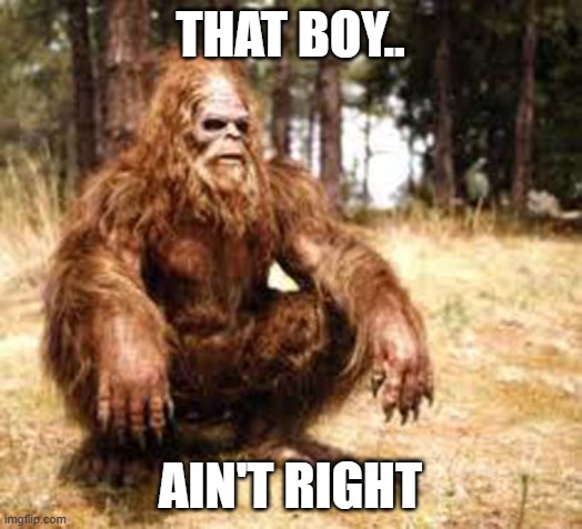 bigfoot | THAT BOY.. AIN'T RIGHT | image tagged in bigfoot | made w/ Imgflip meme maker