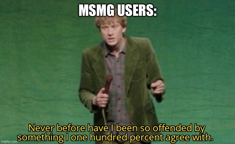 Never before have I been so offended by something I one hundred | MSMG USERS: | image tagged in never before have i been so offended by something i one hundred | made w/ Imgflip meme maker