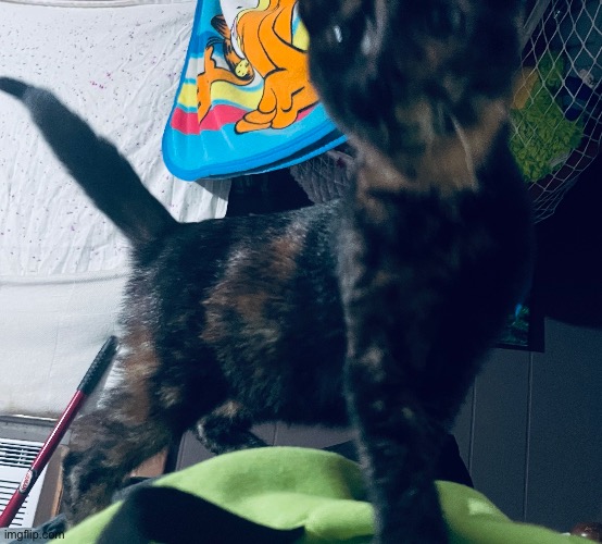 the piglet | made w/ Imgflip meme maker