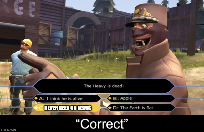 Spy “Correct” | NEVER BEEN ON MSMG | image tagged in spy correct | made w/ Imgflip meme maker