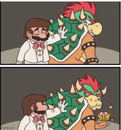 Mario got fucking friendzoned | image tagged in memes,shitpost | made w/ Imgflip meme maker