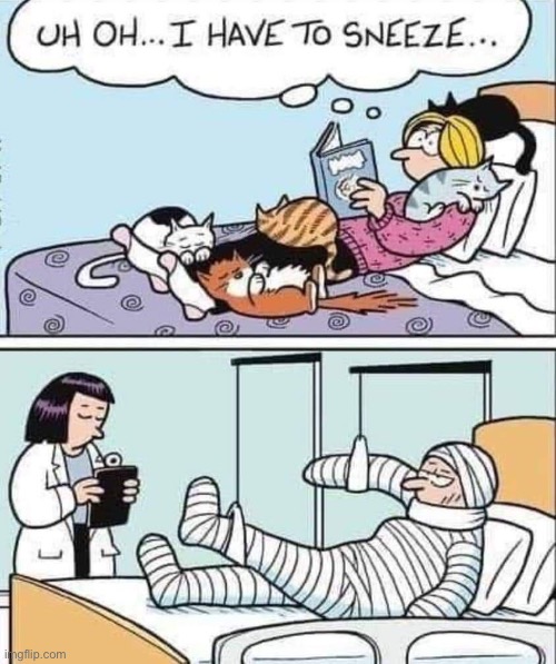 What a predicament! | image tagged in cats,comics,off the mark,all scratched up | made w/ Imgflip meme maker