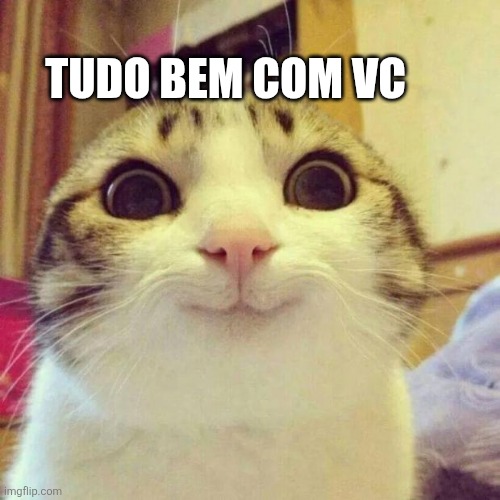 Smiling Cat Meme | TUDO BEM COM VC | image tagged in memes,smiling cat | made w/ Imgflip meme maker