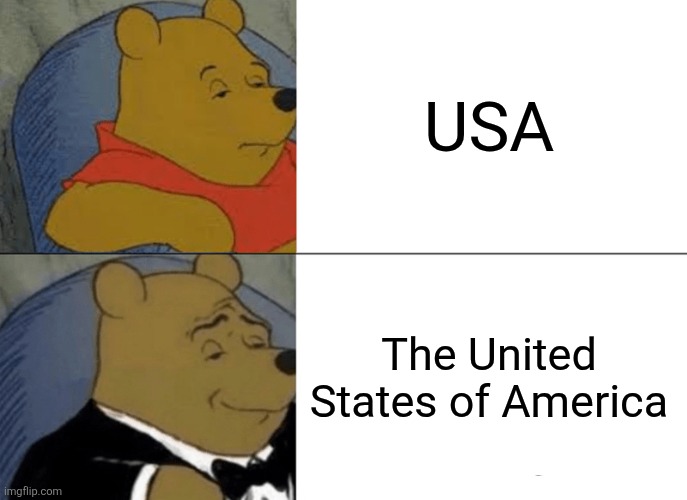 Some people be like | USA; The United States of America | image tagged in memes,tuxedo winnie the pooh,united states | made w/ Imgflip meme maker