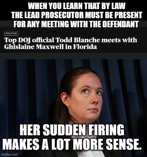 WHEN YOU LEARN THAT BY LAW THE LEAD PROSECUTOR MUST BE PRESENT FOR ANY MEETING WITH THE DEFENDANT; HER SUDDEN FIRING MAKES A LOT MORE SENSE. | image tagged in maureen comey | made w/ Imgflip meme maker