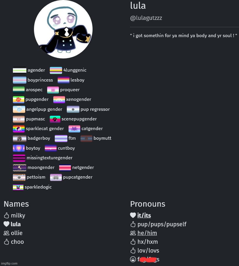 ok heres my daily ragebait heres my pronouns page | made w/ Imgflip meme maker