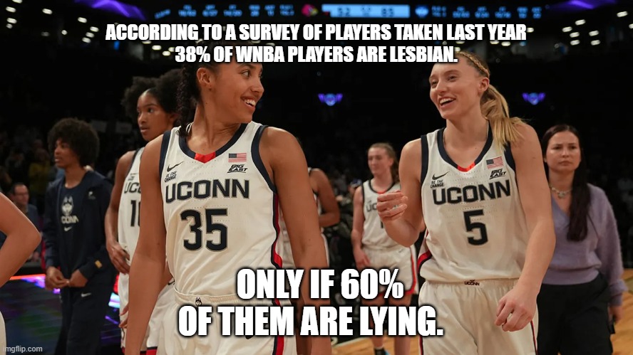 The WNBA in a nutshell. | ACCORDING TO A SURVEY OF PLAYERS TAKEN LAST YEAR 38% OF WNBA PLAYERS ARE LESBIAN. ONLY IF 60% OF THEM ARE LYING. | image tagged in the wnba in a nutshell | made w/ Imgflip meme maker