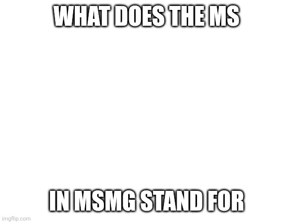 does anyone actually know? | WHAT DOES THE MS; IN MSMG STAND FOR | image tagged in msmg | made w/ Imgflip meme maker