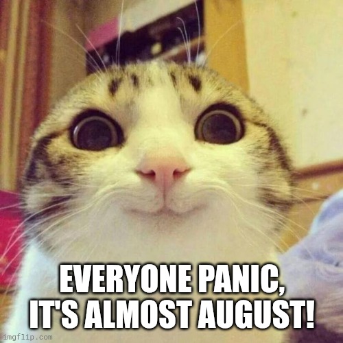 Smiling Cat | EVERYONE PANIC, IT'S ALMOST AUGUST! | image tagged in memes,smiling cat | made w/ Imgflip meme maker