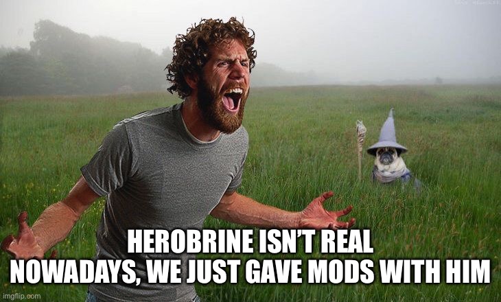 Oh come on | HEROBRINE ISN’T REAL NOWADAYS, WE JUST GAVE MODS WITH HIM | image tagged in oh come on | made w/ Imgflip meme maker