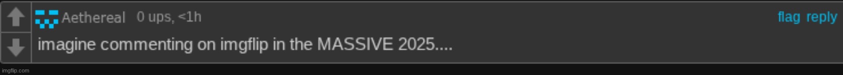 Imagine commenting on imgflip in the MASSIVE 2025..... | image tagged in imagine commenting on imgflip in the massive 2025 | made w/ Imgflip meme maker