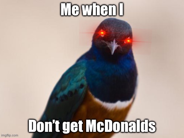Me when I don’t get McDonalds | Me when I; Don’t get McDonalds | image tagged in evil bird,mcdonalds | made w/ Imgflip meme maker