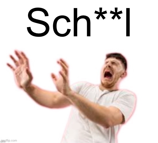 Fr*nch | Sch**l | image tagged in fr nch | made w/ Imgflip meme maker