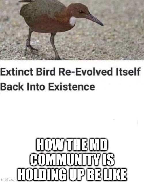 Extinct bird | HOW THE MD COMMUNITY IS HOLDING UP BE LIKE | image tagged in extinct bird | made w/ Imgflip meme maker