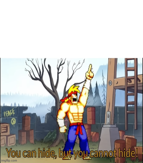 You can hide, but you cannot hide! Blank Meme Template
