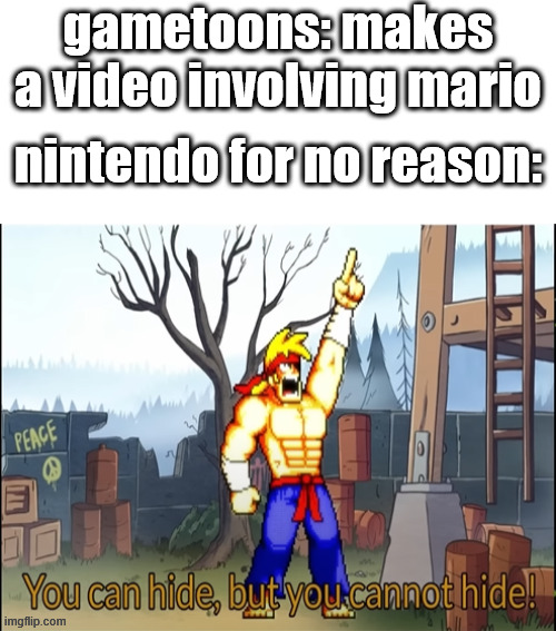 Would this be hypothetically true? | gametoons: makes a video involving mario; nintendo for no reason: | image tagged in you can hide but you cannot hide,gametoons | made w/ Imgflip meme maker