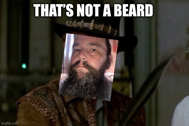 Beard | THAT’S NOT A BEARD | image tagged in that's not a knife | made w/ Imgflip meme maker