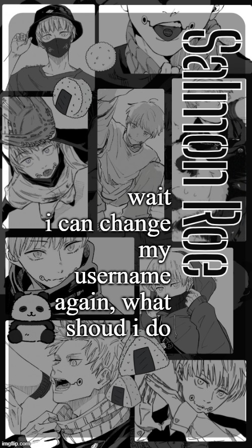 Salmon Roe temp | wait i can change my username again, what shoud i do | image tagged in salmon roe temp | made w/ Imgflip meme maker