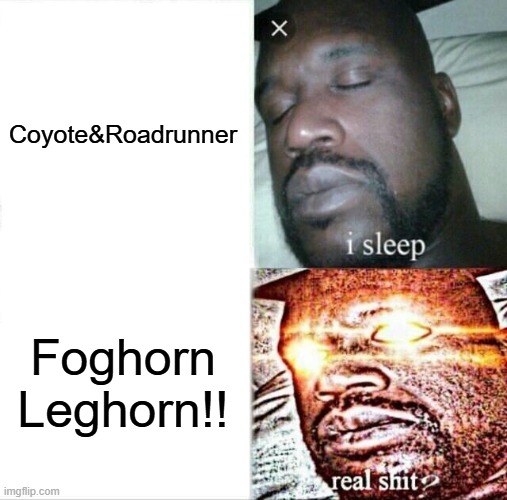 I saw the leaks | Coyote&Roadrunner; Foghorn Leghorn!! | image tagged in memes,sleeping shaq | made w/ Imgflip meme maker
