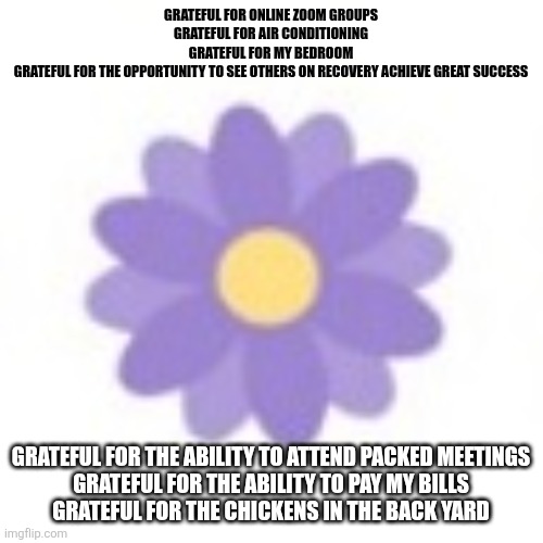 Facebook Grateful emoji | GRATEFUL FOR ONLINE ZOOM GROUPS
GRATEFUL FOR AIR CONDITIONING
GRATEFUL FOR MY BEDROOM
GRATEFUL FOR THE OPPORTUNITY TO SEE OTHERS ON RECOVERY ACHIEVE GREAT SUCCESS; GRATEFUL FOR THE ABILITY TO ATTEND PACKED MEETINGS
GRATEFUL FOR THE ABILITY TO PAY MY BILLS
GRATEFUL FOR THE CHICKENS IN THE BACK YARD | image tagged in facebook grateful emoji | made w/ Imgflip meme maker