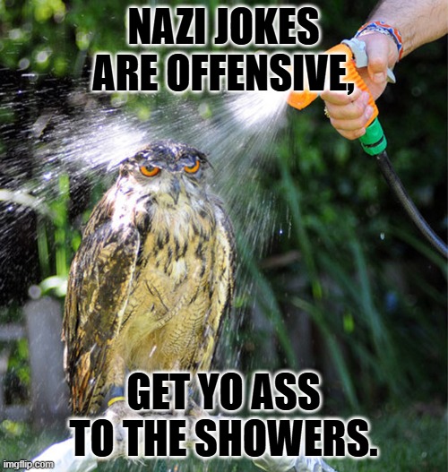 owl wet shower | NAZI JOKES ARE OFFENSIVE, GET YO ASS TO THE SHOWERS. | image tagged in owl wet shower | made w/ Imgflip meme maker