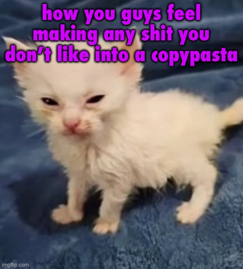 Car :3 | how you guys feel making any shit you don’t like into a copypasta | image tagged in car 3 | made w/ Imgflip meme maker