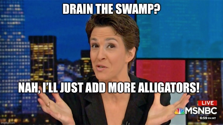 Rachel Maddow Blame Face | DRAIN THE SWAMP? NAH, I’LL JUST ADD MORE ALLIGATORS! | image tagged in rachel maddow blame face | made w/ Imgflip meme maker