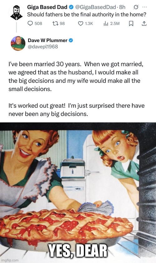 Decisions, decisions | YES, DEAR | image tagged in 50's wife cooking cherry pie,decisions,married,wife,husband wife | made w/ Imgflip meme maker