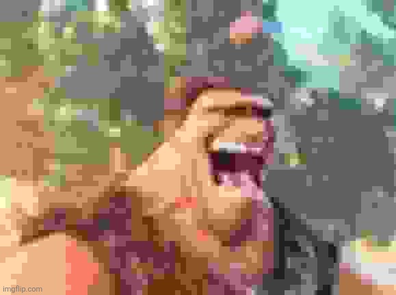 GURG | image tagged in gurg | made w/ Imgflip meme maker