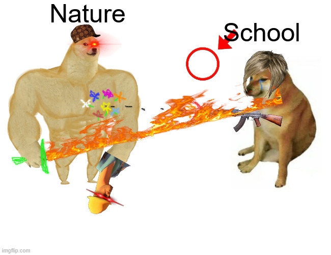 NOPE | Nature; School | image tagged in memes,buff doge vs cheems | made w/ Imgflip meme maker