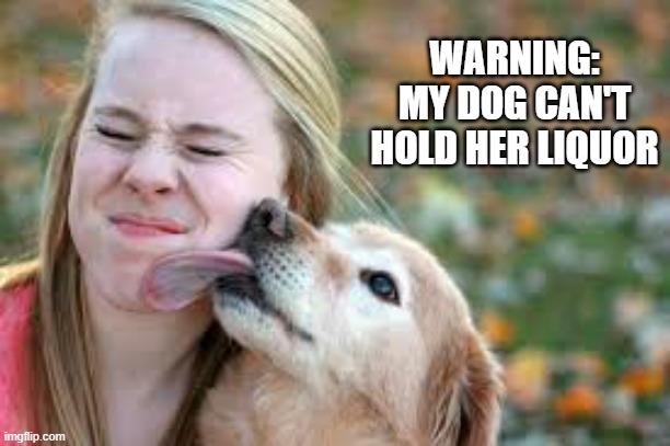 Warning: my dog can't hold her licker.   - funny - | WARNING: MY DOG CAN'T HOLD HER LIQUOR | image tagged in funny,dogs,licqkuor,play on words,humor,cats | made w/ Imgflip meme maker