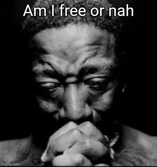Pluh | Am I free or nah | image tagged in pluh | made w/ Imgflip meme maker