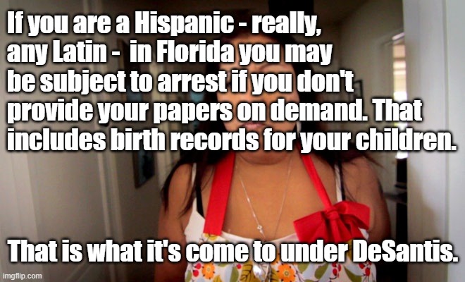 Hispanic Mom | If you are a Hispanic - really, any Latin -  in Florida you may be subject to arrest if you don't provide your papers on demand. That includes birth records for your children. That is what it's come to under DeSantis. | image tagged in hispanic mom | made w/ Imgflip meme maker