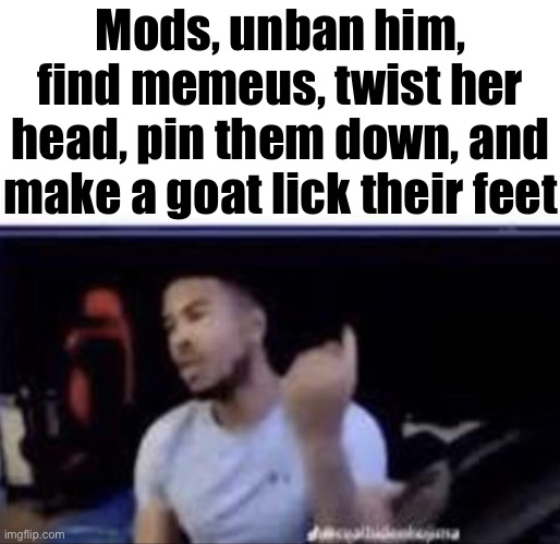 Mods crush his balls | Mods, unban him, find memeus, twist her head, pin them down, and make a goat lick their feet | image tagged in mods crush his balls | made w/ Imgflip meme maker