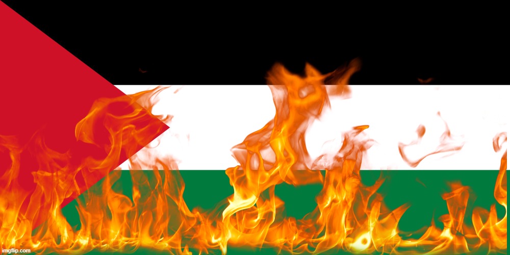 palestine | image tagged in palestine | made w/ Imgflip meme maker