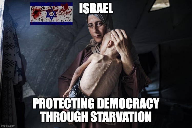 Israel starves innocent children | ISRAEL; PROTECTING DEMOCRACY
THROUGH STARVATION | image tagged in starving palestinian child with mother | made w/ Imgflip meme maker